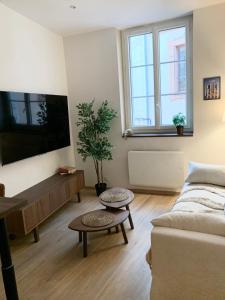 Appartements Appartement Puits-Clos - Quartier Capitole : photos des chambres