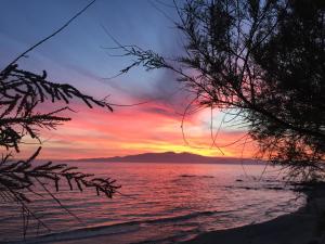 Thalassa Naxos Naxos Greece