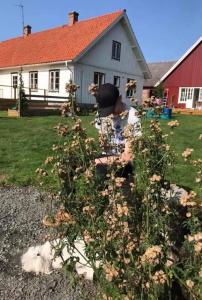 Hjortagårdens Atelje