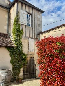 B&B / Chambres d'hotes Domaine Borgnat : photos des chambres
