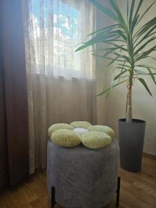 Apartmani Djuric Grey