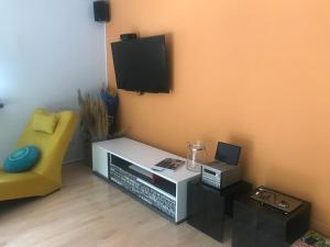 Apartament z kotem