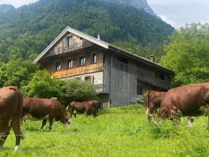 Logement individuel 3 pièces dans chalet