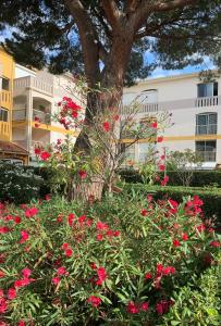 Résidence Plein Sud