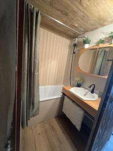 Appartements Appartement au pied des pistes : photos des chambres