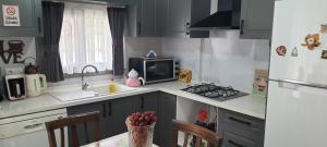 Urla Sanat Sokağı bahçeli ev