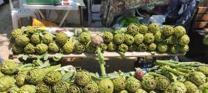 Urla Sanat Sokağı bahçeli ev