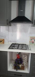 Urla Sanat Sokağı bahçeli ev