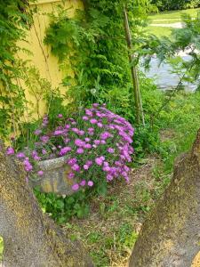 Apartment mit 2 Schlafzimmern