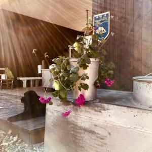 Gîte Larguer les Samares dans une cabane à sucre