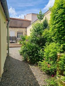 Maisons de vacances Jolie maison renovee avec jardin : Maison 2 Chambres