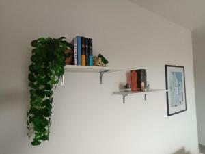 Casa Ulivo - Garden&Terrace - Pet Friendly