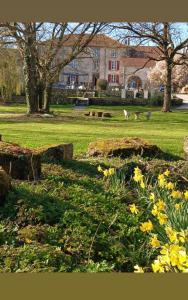 Le Domaine d'Élise Chambres et table d'hôtes - Vosges