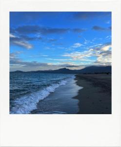 Appartements Agreable appartement a 3min a pied de la plage : Appartement 1 Chambre