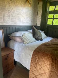 Shepherds Hut Farm Stay - The Nest