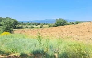 Roulotte Ferme bio Campagne 66