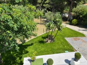 Casa at the top of the hill