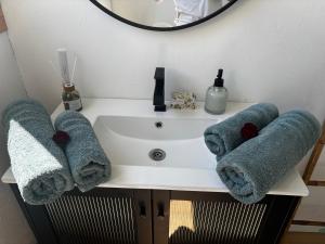 Campings Tiny House RosaLodge : photos des chambres
