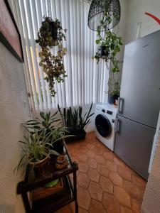 The Little Stairways Apartment