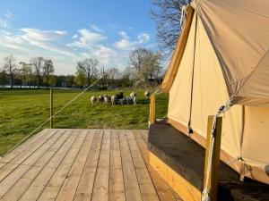 Bergs Slussar Glamping