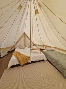 Bergs Slussar Glamping