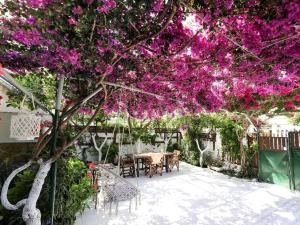 Apartments Athina Orikum