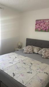 Apartments Punta