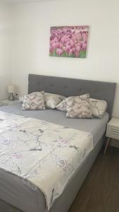 Apartments Punta