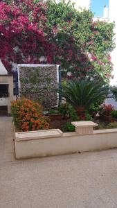 Casa a 30 M dal mare