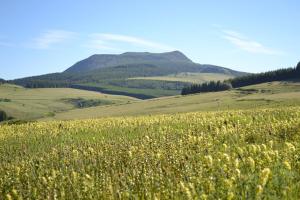 Maisons de vacances Gite de La croisee en Auvergne : Maison 2 Chambres