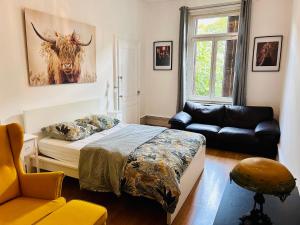 appartement spacieux en centre ville