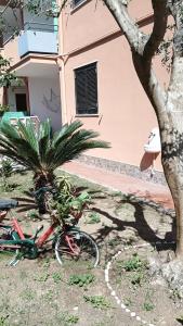 Afrodite Apartment Sabaudia