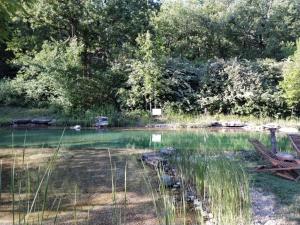 Tentes de luxe Chrysalide : Tente