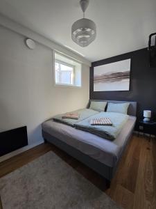 BRUNØST APARTMENT modern apartment close to city center with free parking