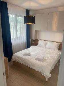 Apartament Deluxe cu 1 dormitor