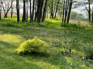 sun& relax- TINYHOUSE