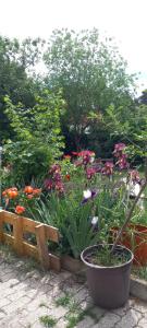 Ferienwohnung Lerchennest