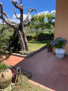 Un Paradiso a Sorrento con piscina