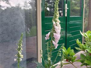 Appartement De Molshoop