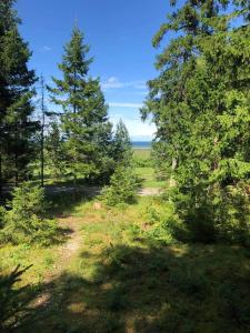 Hausma beach house - romantic and private place