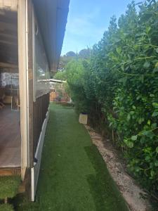 Oasis Louisitanienne