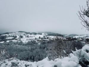 Appartement Sainte-Catherine