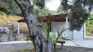 Garden House Q4527 img25