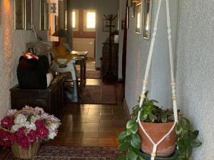 Maisons de vacances Le Paradis Saint Frajou, very beautiful Villa 200m2 swimming pool and style : photos des chambres