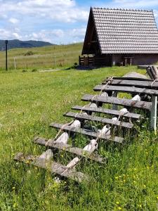 Planinska kuca-Jovanovic!