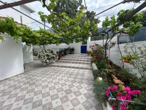Vila 23