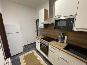 Central apartment in Vienna