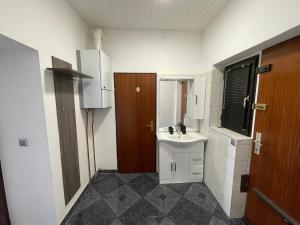 Central apartment in Vienna