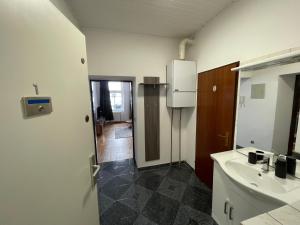 Central apartment in Vienna