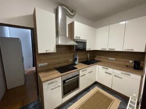 Central apartment in Vienna